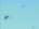 Bees : In Flight