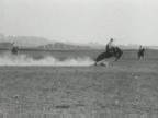 Voitures : Voiture sans Cheval