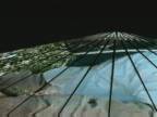 BeeTV : Windmill