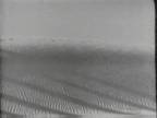 Horizon : Sable Blanc