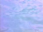 Haze : Cloudy Forms
