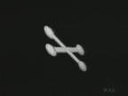 X-Shape : Alone