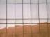 Buildings : Frisch