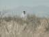 Walking : Landscape