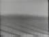 Horizon : White Sands