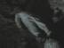 Sleeping : Cave